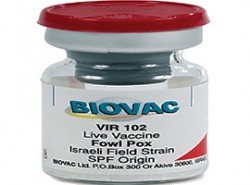 vir 102 against fowl pox