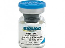 vir 107 against marek s disease