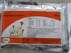 dad broiler boost