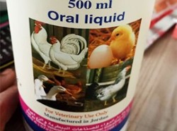 dad octavit solution