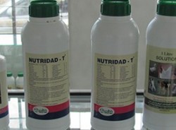 nutridad t solution